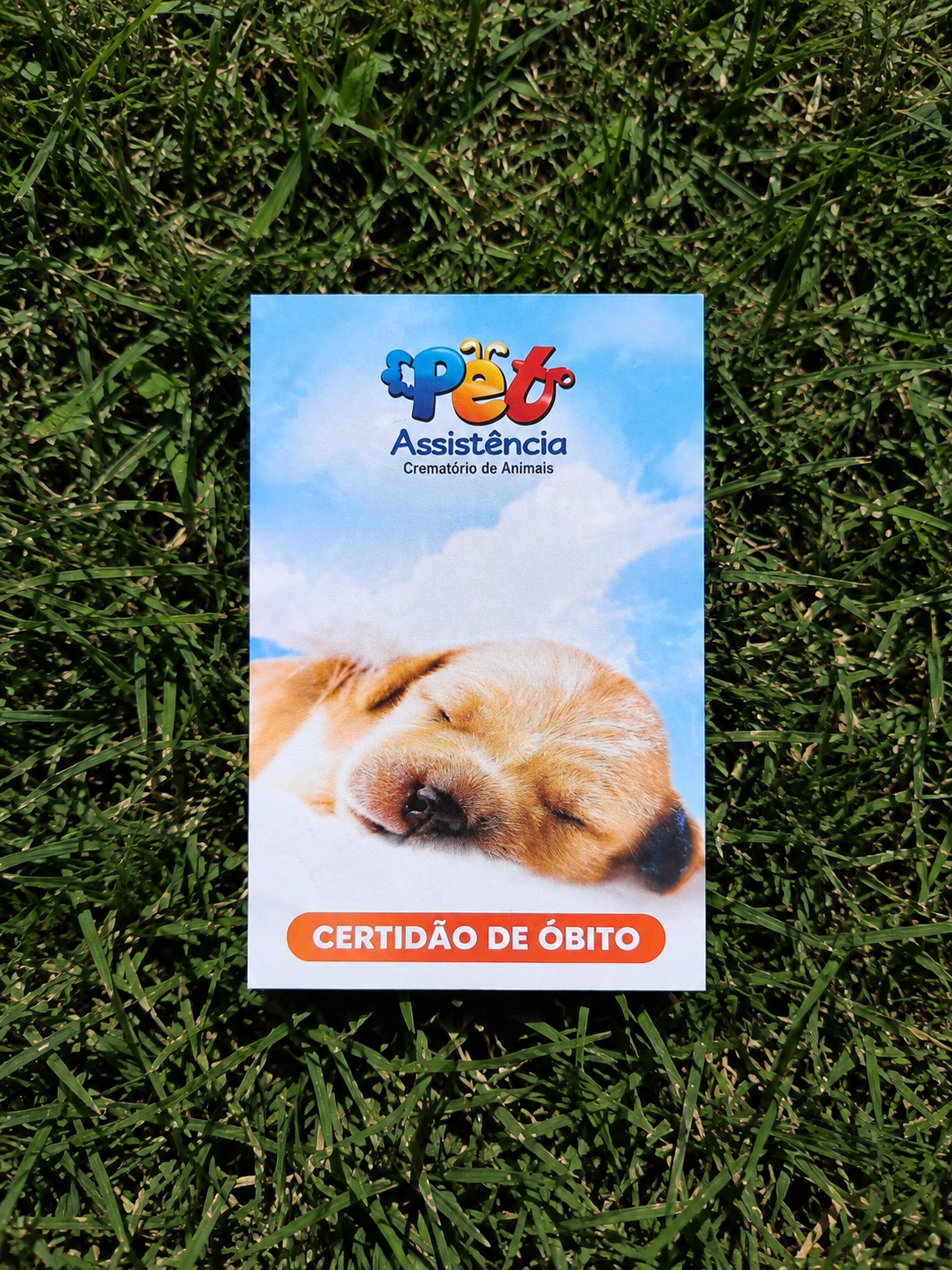 Cremação coletiva