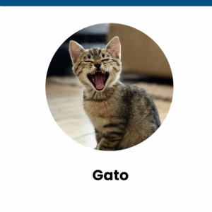Gato