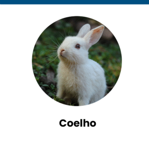 coelho