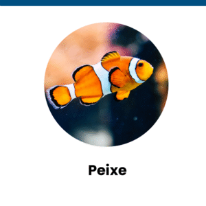 peixe